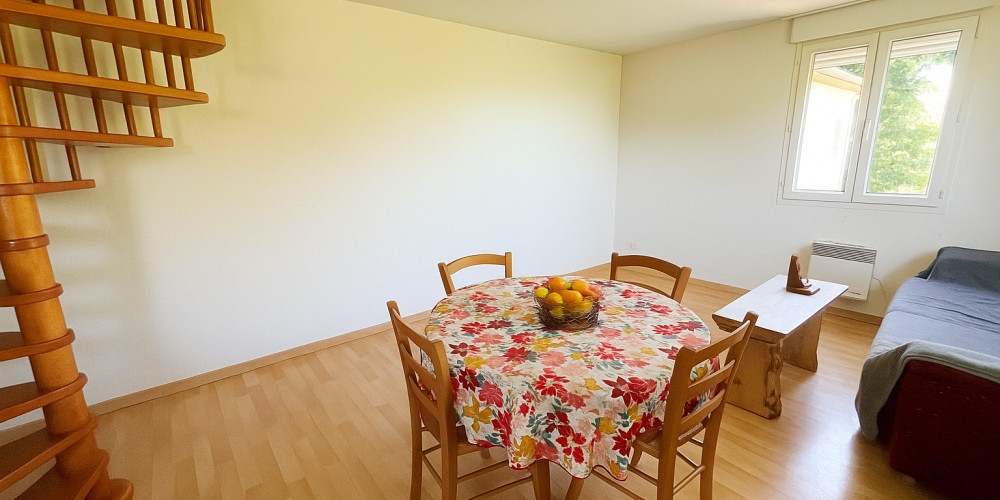 appartement à ASPIN EN LAVEDAN (65100)