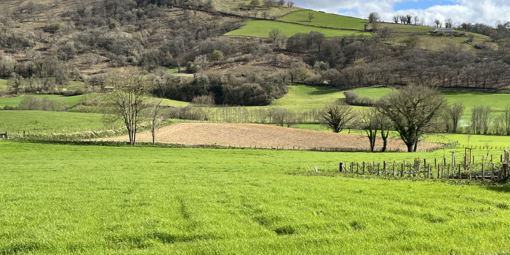 terrain à LACARRE (64220)