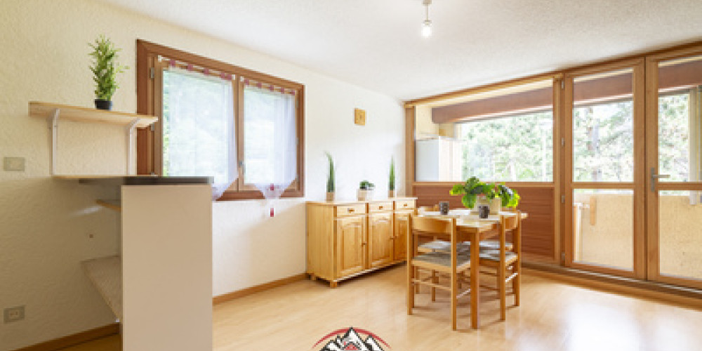 appartement à ST LARY SOULAN (65170)