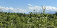 terrain à LESCAR (64230)