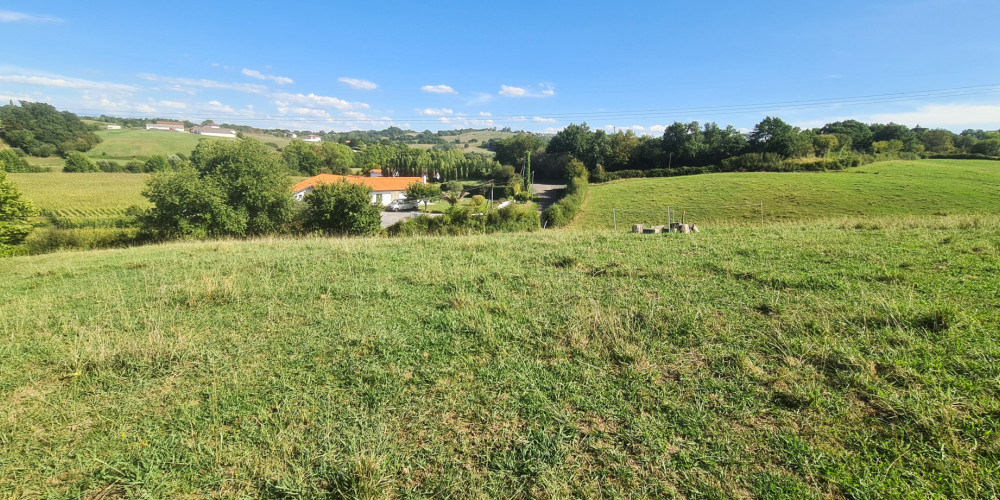 terrain à BRISCOUS (64240)