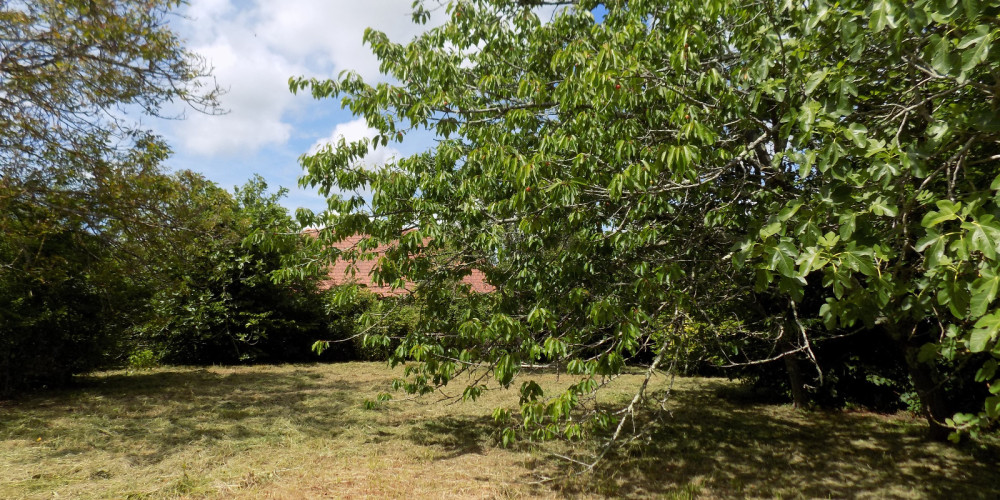 terrain à SALIES DE BEARN (64270)