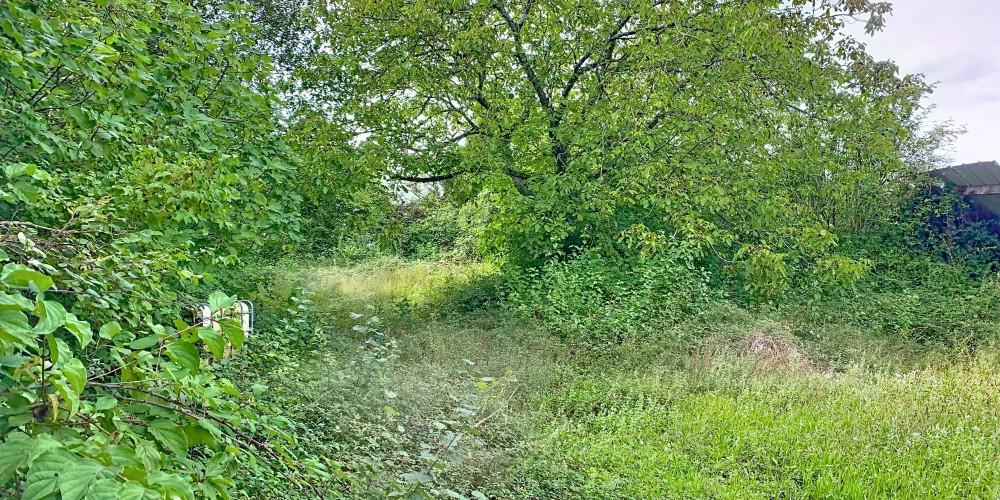 terrain à SENDETS (64320)