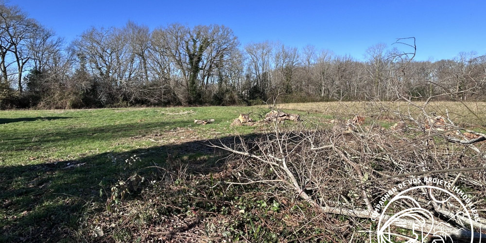 terrain à JATXOU (64480)
