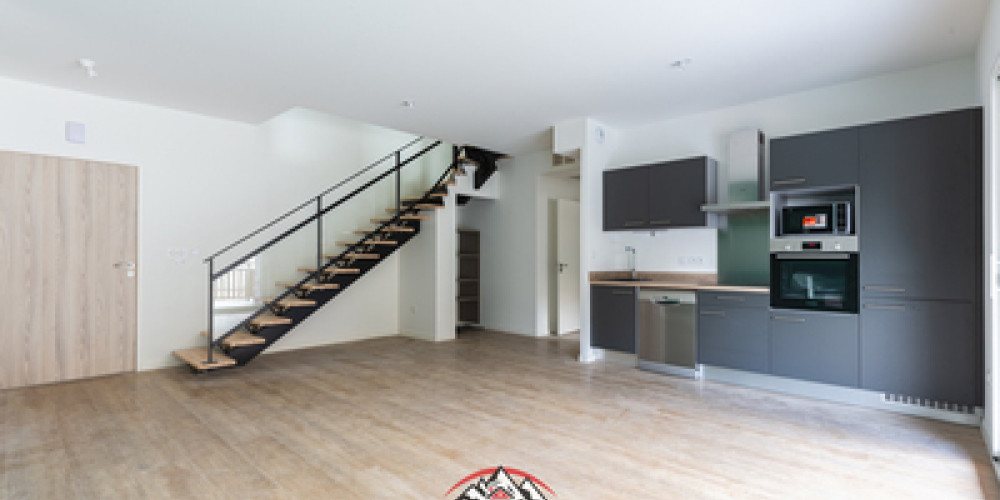 appartement à ST LARY SOULAN (65170)