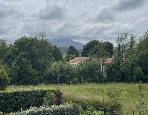 appartement  ST PEE SUR NIVELLE