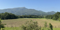 maison à ASCAIN (64310)