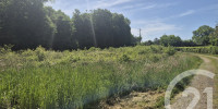 terrain à CASTETIS (64300)