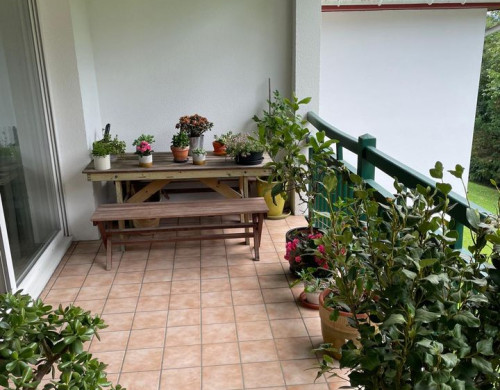 appartement  ST JEAN DE LUZ
