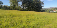 terrain à ASCAIN (64310)