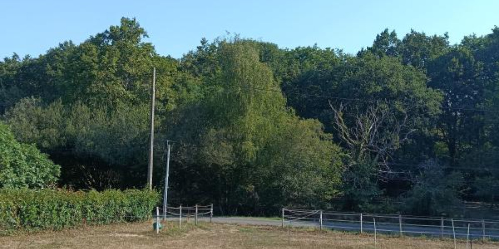 terrain à BUROS (64160)