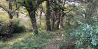 terrain à RAMOUS (64270)