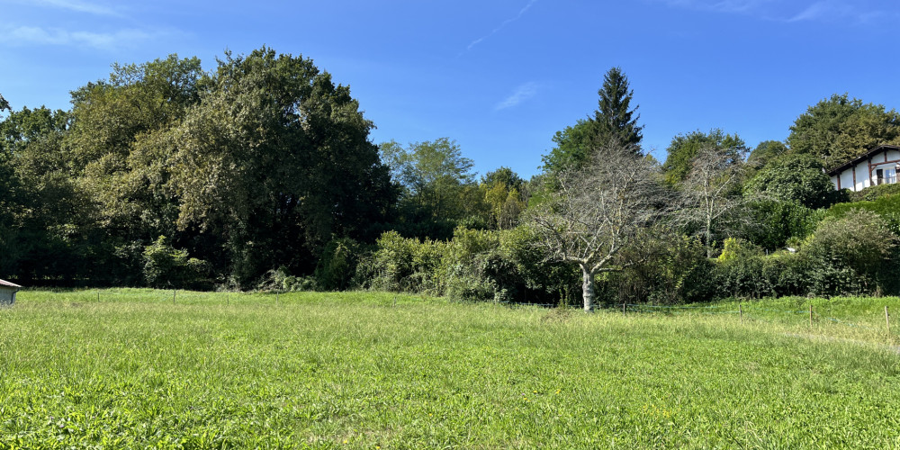 terrain à ST JEAN PIED DE PORT (64220)