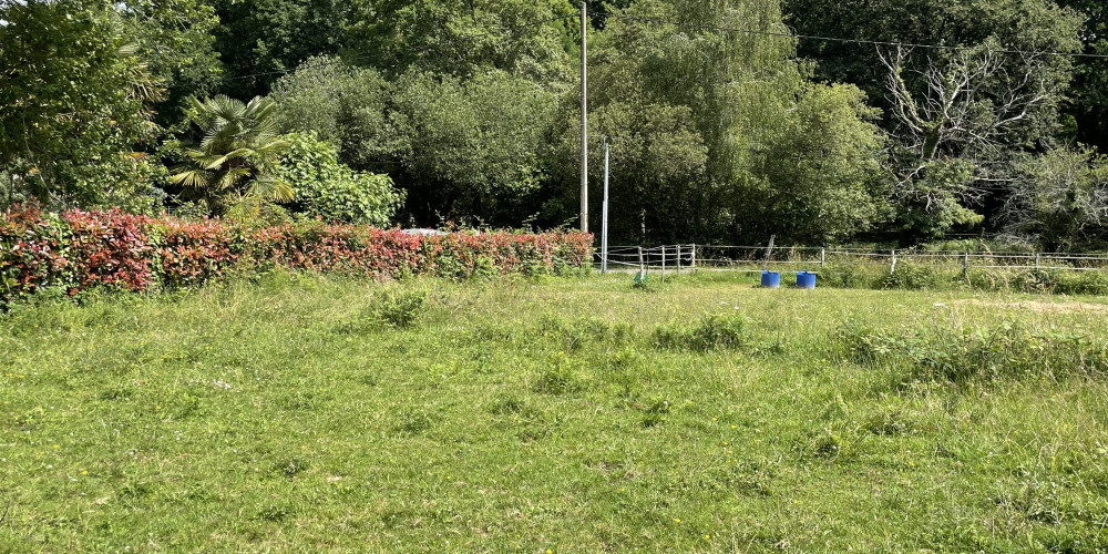 terrain à BUROS (64160)