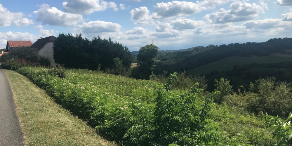 terrain à LAGOR (64150)