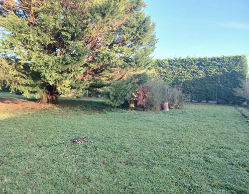 terrain  ST PEE SUR NIVELLE