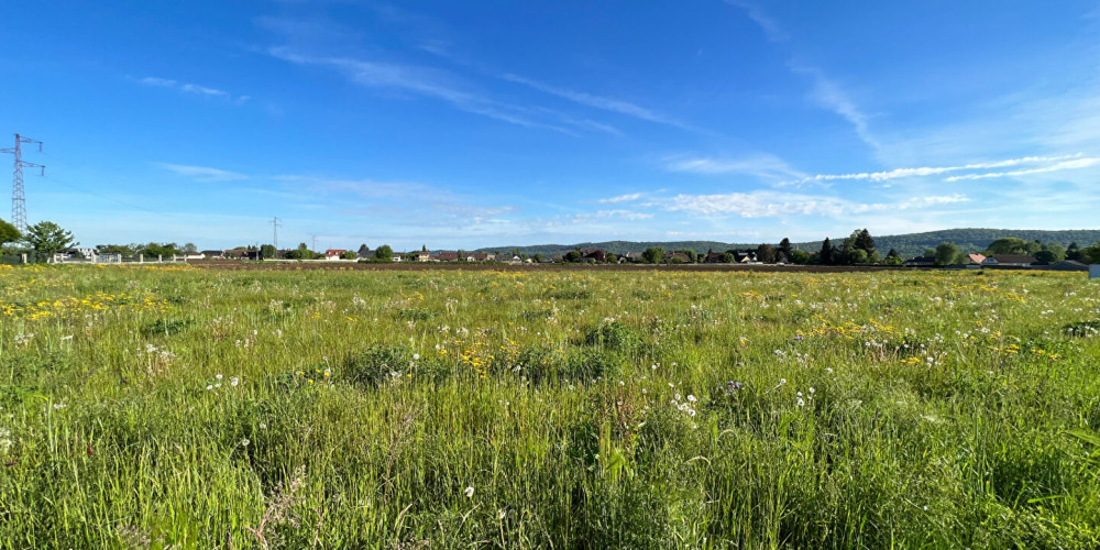 terrain à BORDERES (64800)