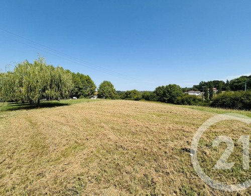 terrain  ST PIERRE D IRUBE