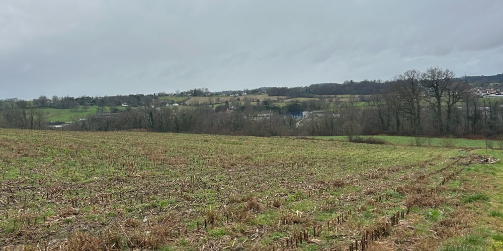 terrain à ORTHEZ (64300)