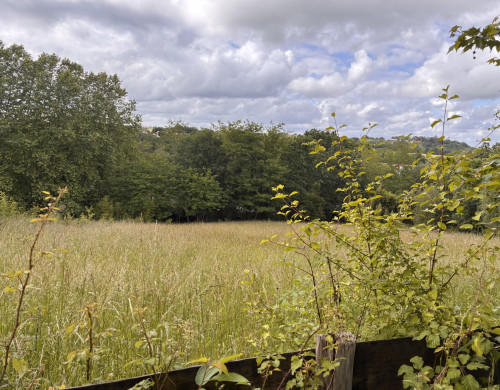 terrain  BRISCOUS