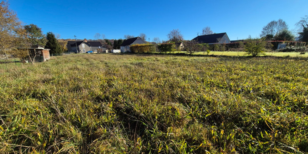 terrain à LIVRON (64530)