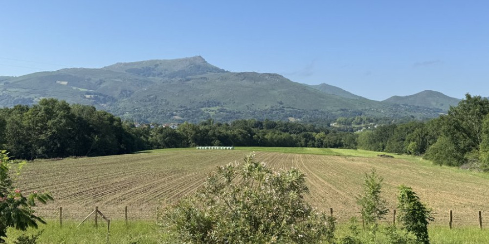 maison à ASCAIN (64310)