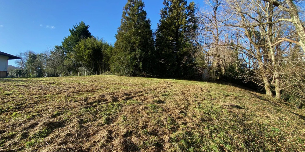 terrain à ASCAIN (64310)