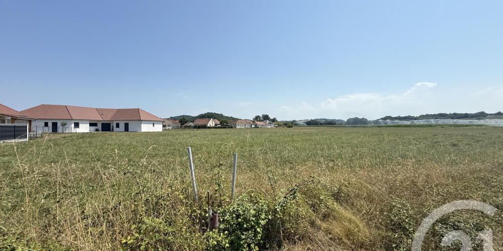 terrain à MASLACQ (64300)