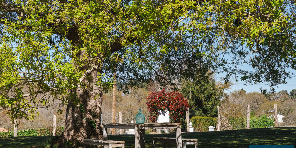 maison à ST PIERRE D IRUBE (64990)