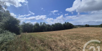 terrain à SALIES DE BEARN (64270)