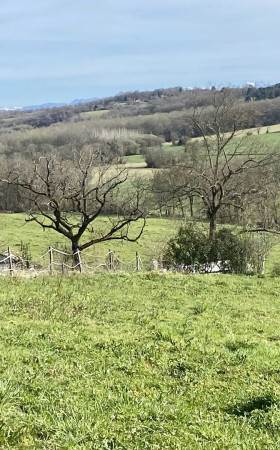 Terrain  CASTILLON D ARTHEZ