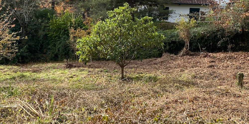 terrain à VILLEFRANQUE (64990)
