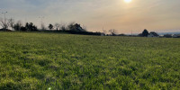 terrain à THEZE (64450)
