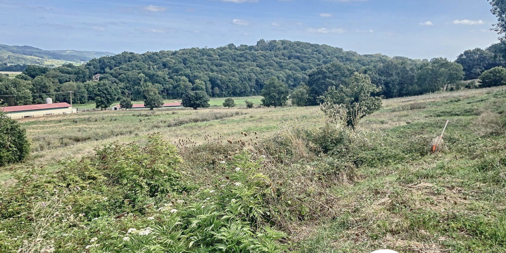 terrain à GARLIN (64330)