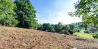 maison à ARROS DE NAY (64800)