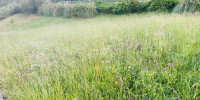 terrain à URCUIT (64990)