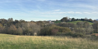 terrain à ARBONNE (64210)