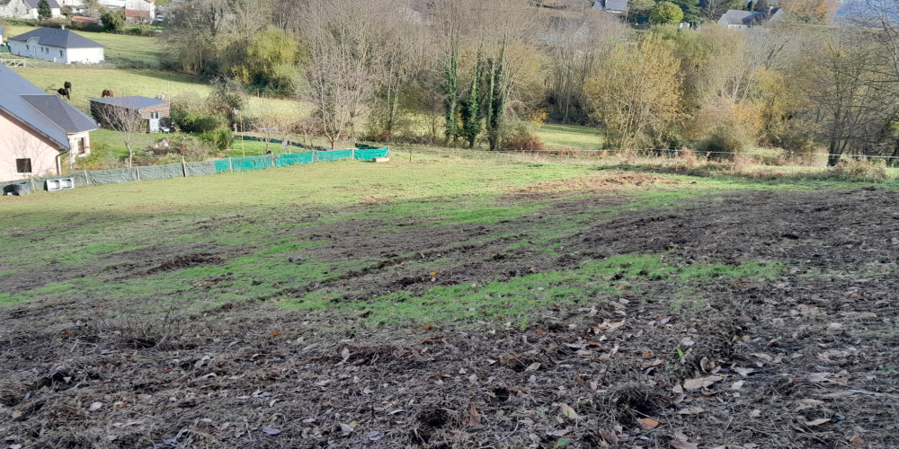 terrain à POUEYFERRE (65100)