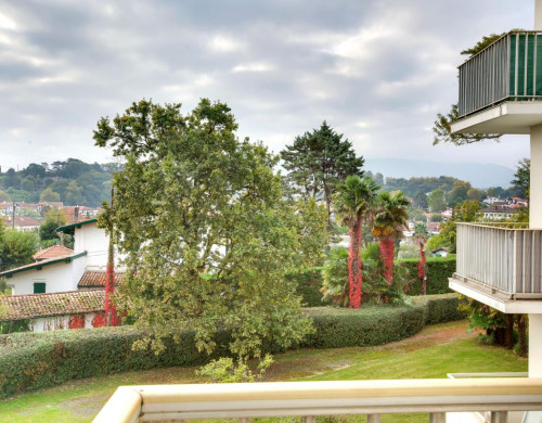 appartement  ST JEAN DE LUZ