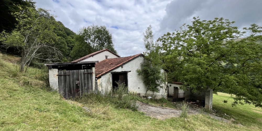 maison à MENDIVE (64220)