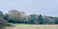 terrain à ANGLET (64600)