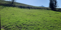 terrain à SARE (64310)