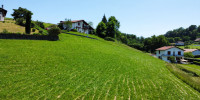 terrain à ST JEAN PIED DE PORT (64220)