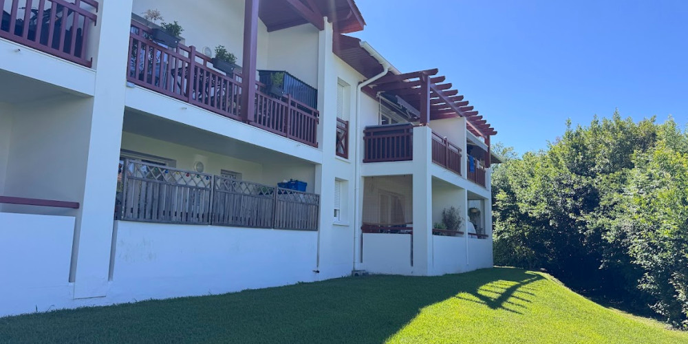 appartement à ST PIERRE D IRUBE (64990)