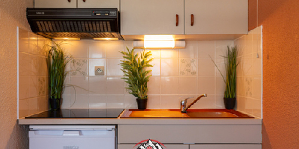 appartement à ST LARY SOULAN (65170)