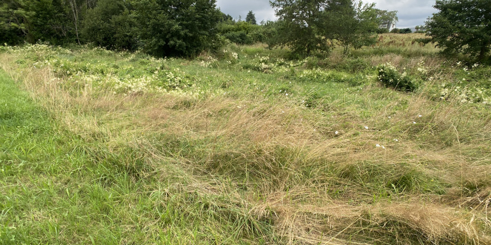 terrain à ARCIZAC ADOUR (65360)