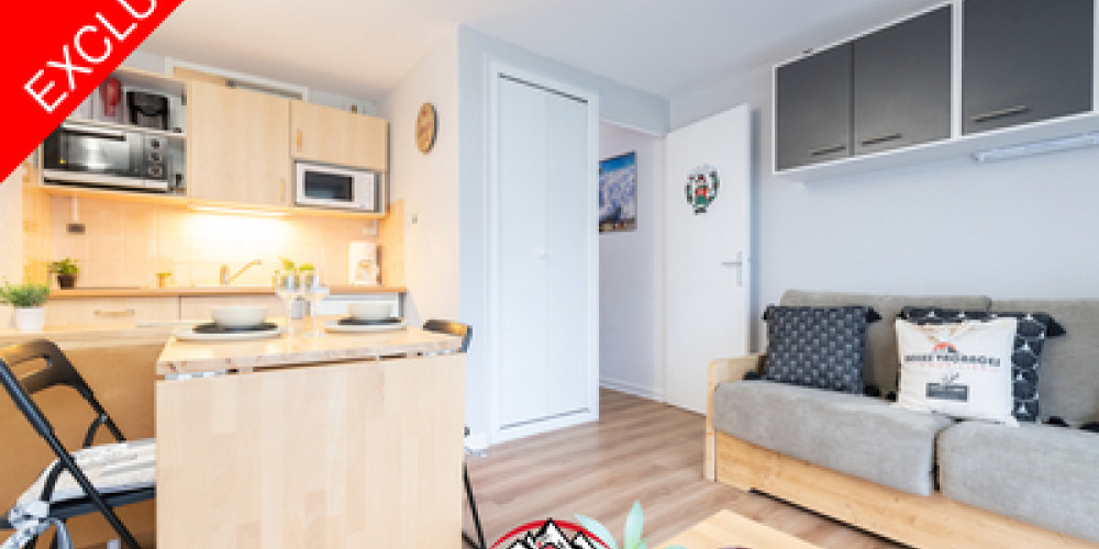 appartement à ST LARY SOULAN (65170)