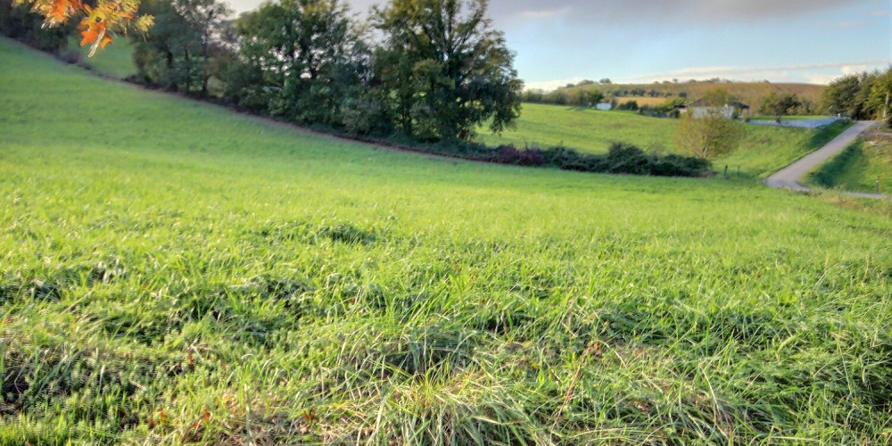 terrain à GARLIN (64330)