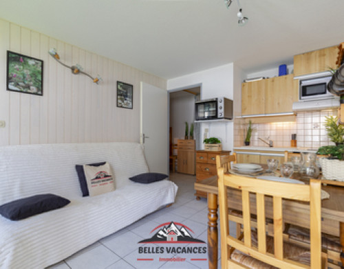 appartement  ST LARY SOULAN