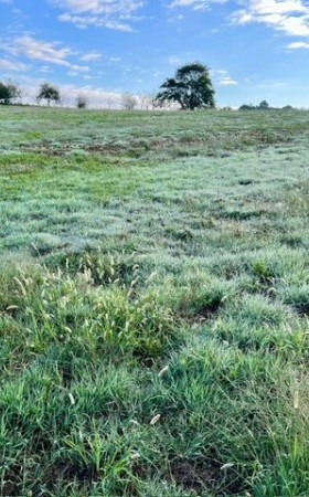 Terrain  RAMOUS